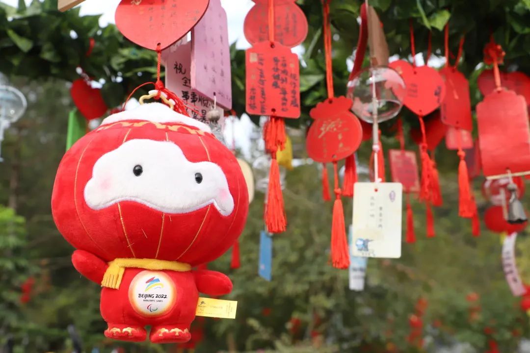 元宵节观音山上的幸福团圆游,溢出屏幕的热闹