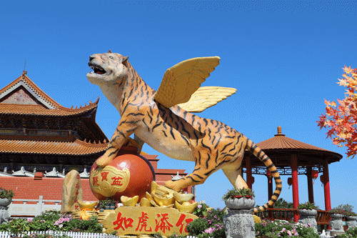 央视点赞!观音山这些爆火的网红项目,你打卡了吗?