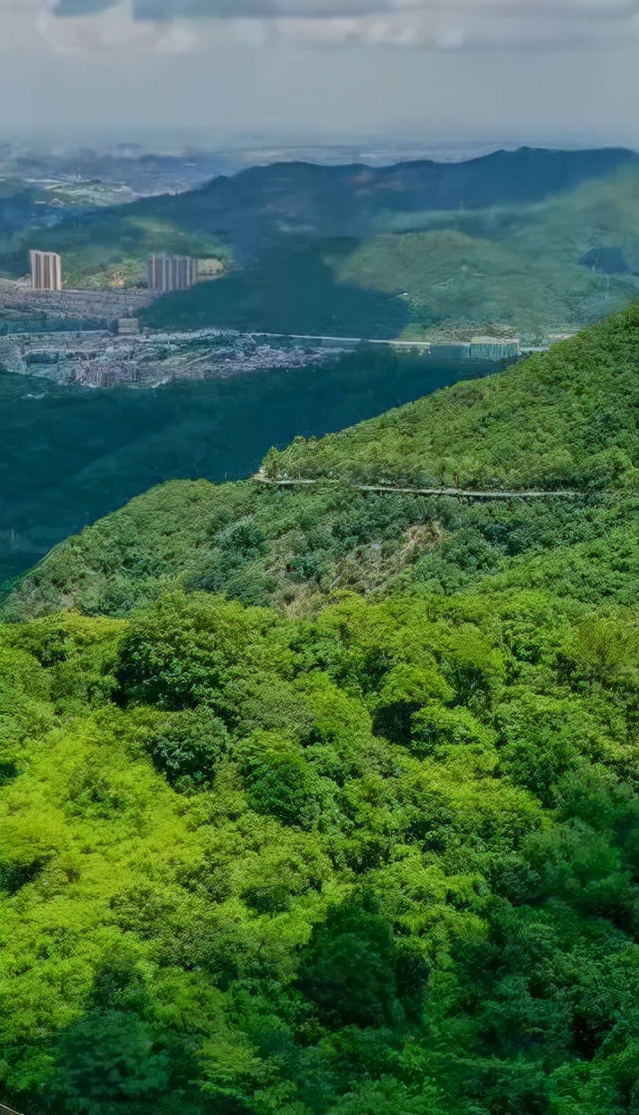 二月二，龙抬头，一年鸿运好兆头！快来观音山一起感受春的气息