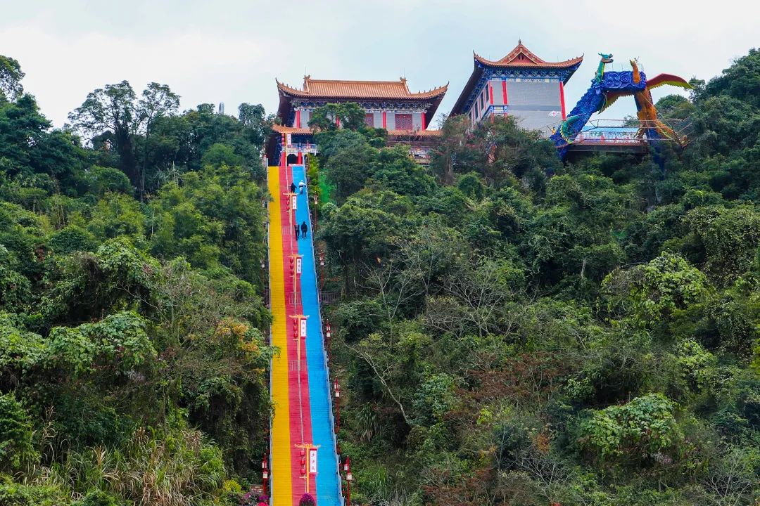 二月二，龙抬头，一年鸿运好兆头！快来观音山一起感受春的气息