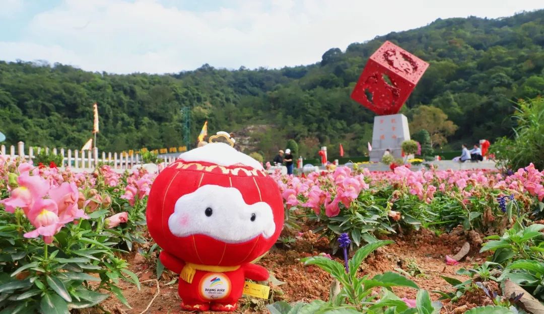 二月二，龙抬头，一年鸿运好兆头！快来观音山一起感受春的气息