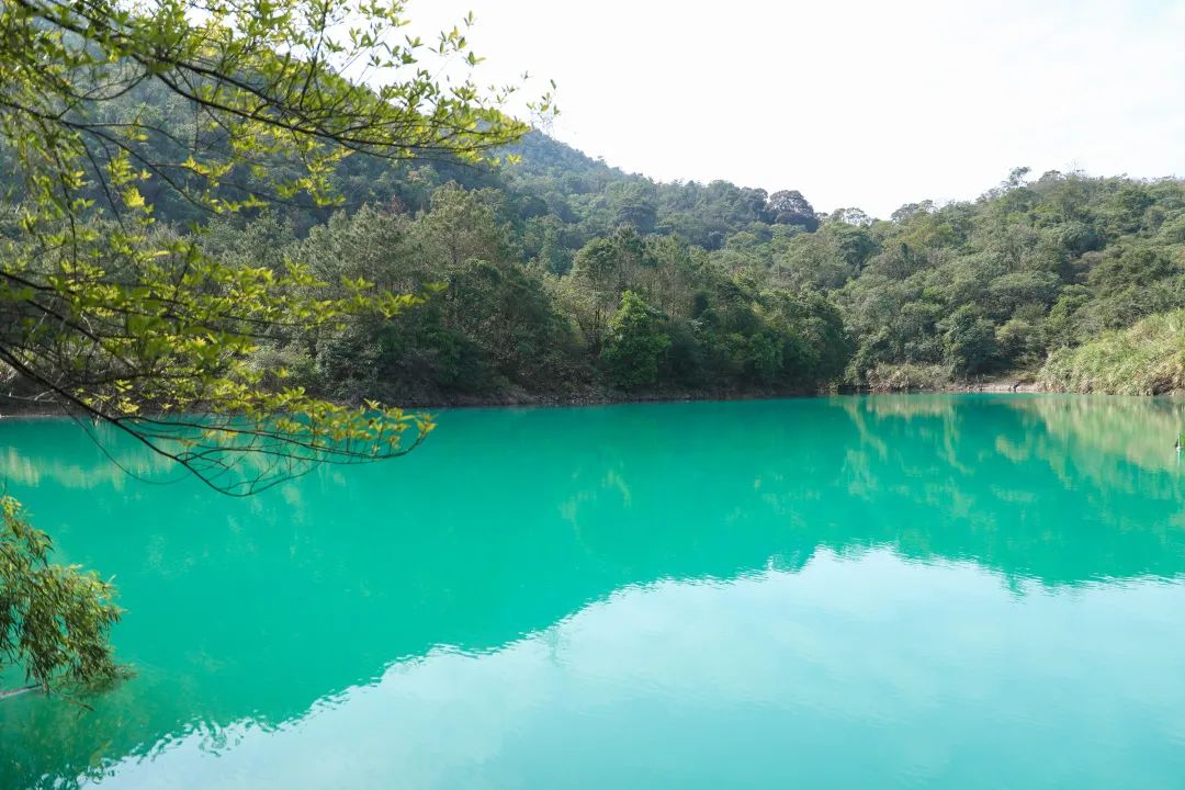 人间三月，观音山踏青登高正当时，与山色一起醉春光