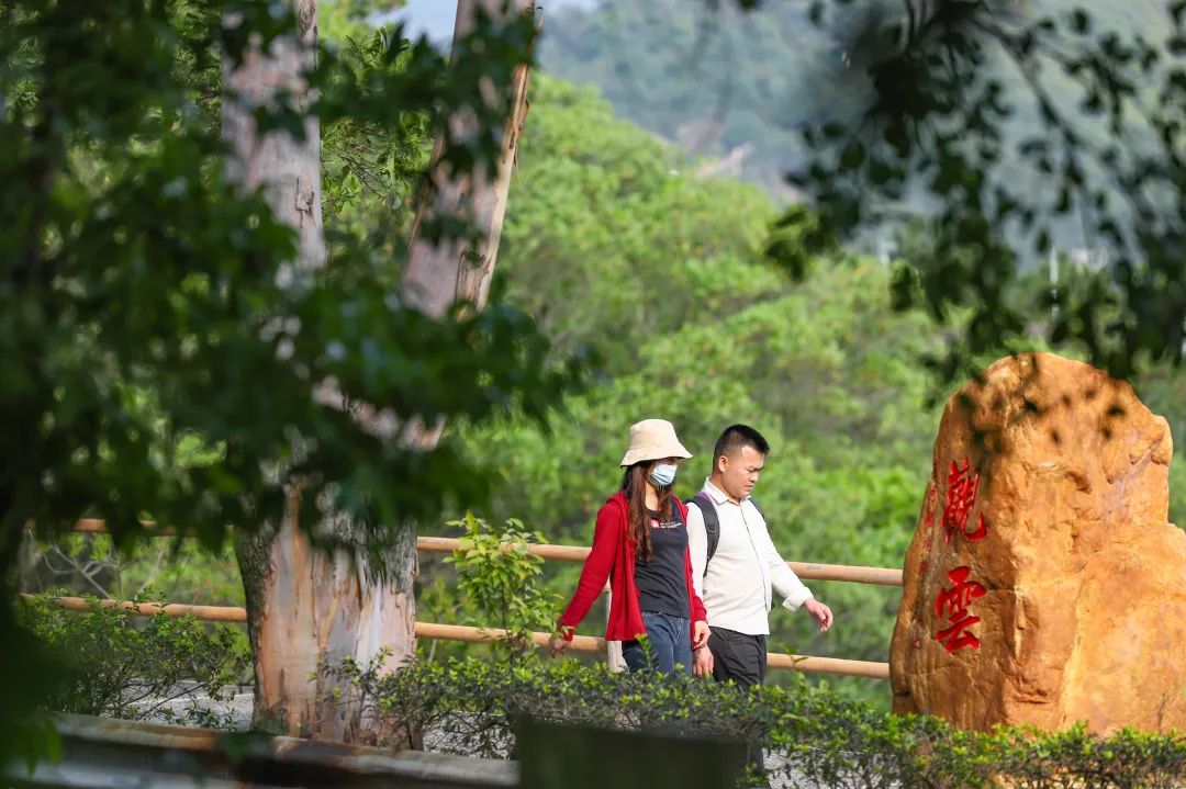 人间三月，观音山踏青登高正当时，与山色一起醉春光