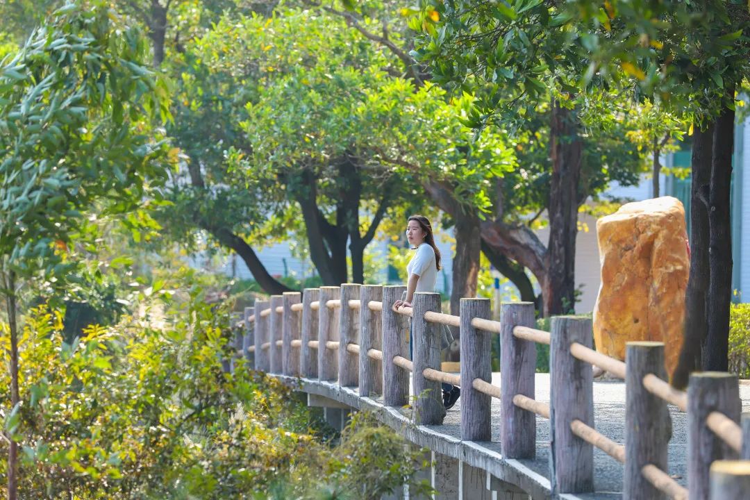 人间三月，观音山踏青登高正当时，与山色一起醉春光