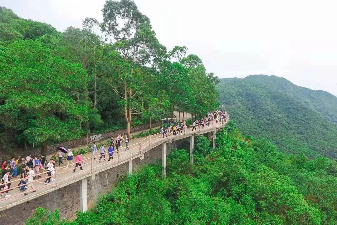 人生如登山，回望皆风景！在观音山感悟人生的乐趣