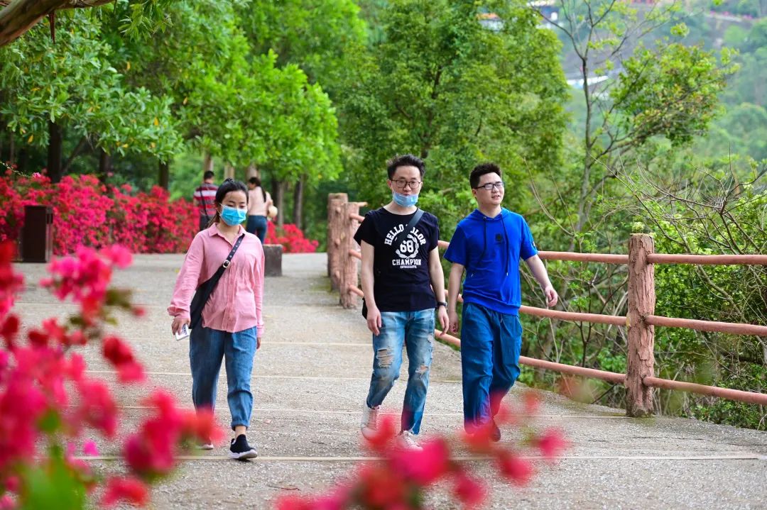 人生如登山，回望皆风景！在观音山感悟人生的乐趣