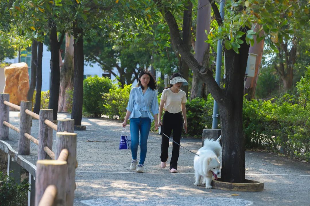 我在观音山等您，这里的山野美景太治愈了