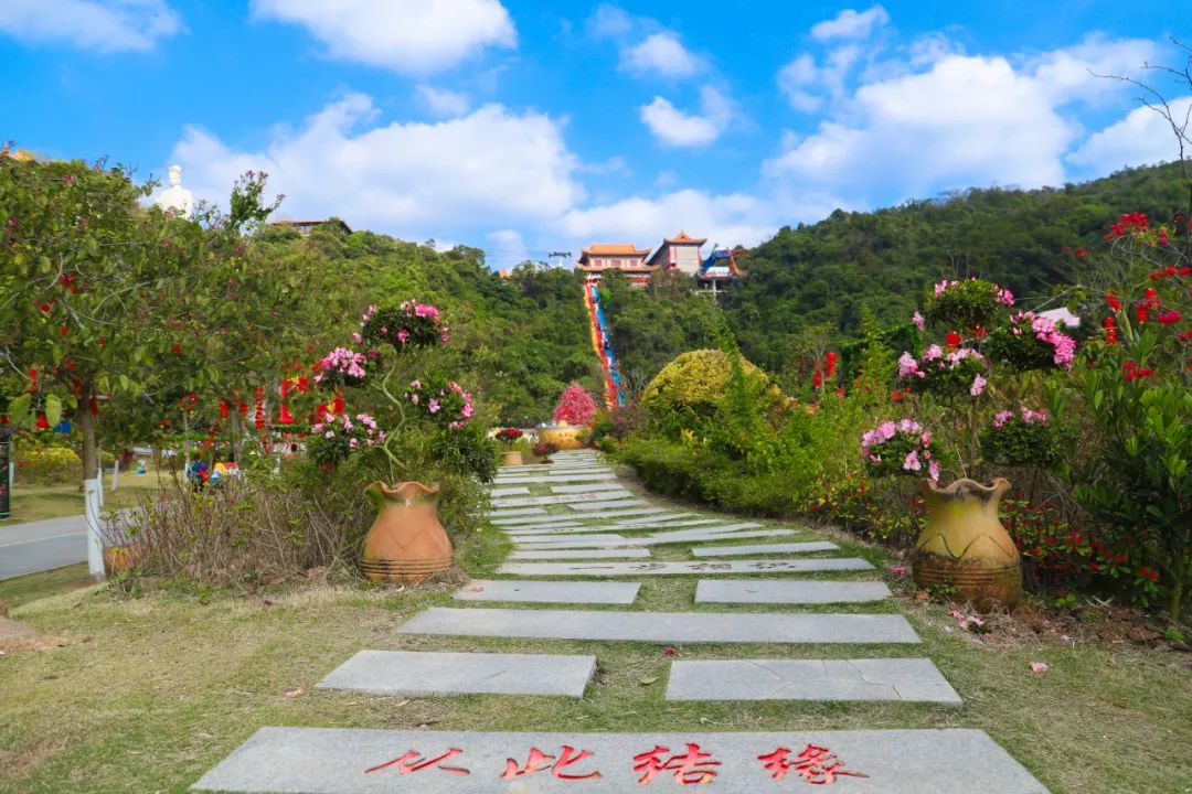 我在观音山等您，这里的山野美景太治愈了