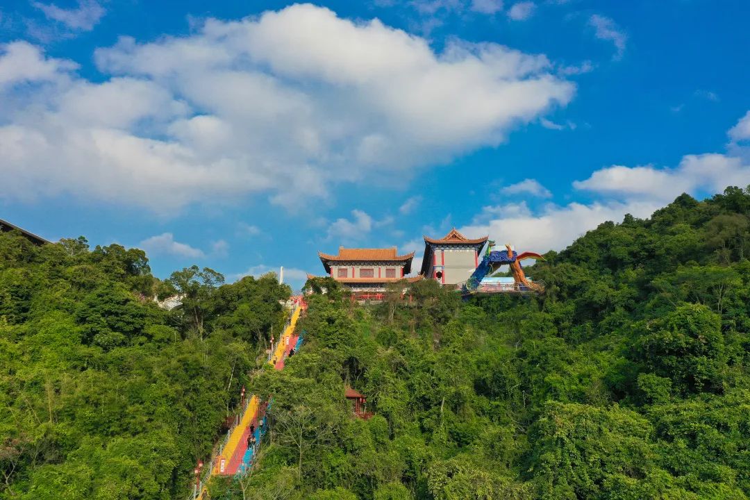 清明奇妙游，观音山上登高许愿、邂逅花神，共醉好春光