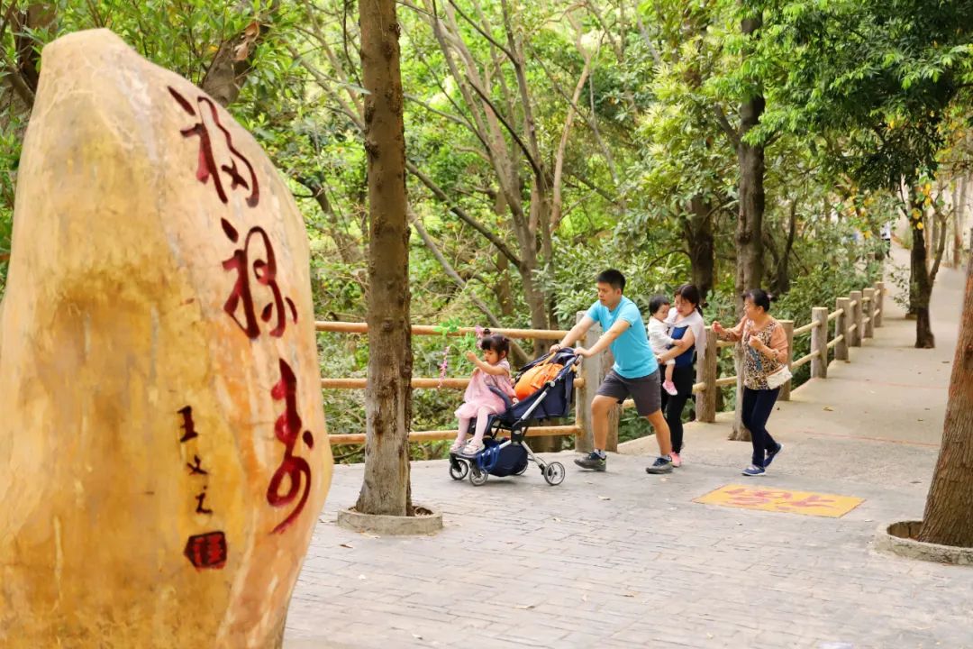 上新啦！观音山宠粉升级，赏花游园解锁您的专属福利