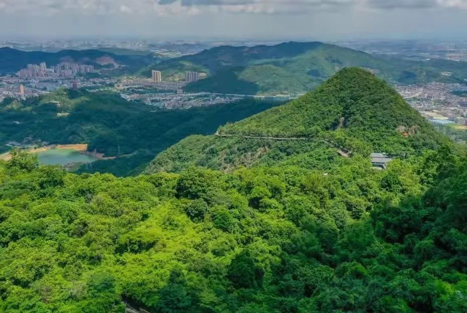 上新啦！观音山宠粉升级，赏花游园解锁您的专属福利