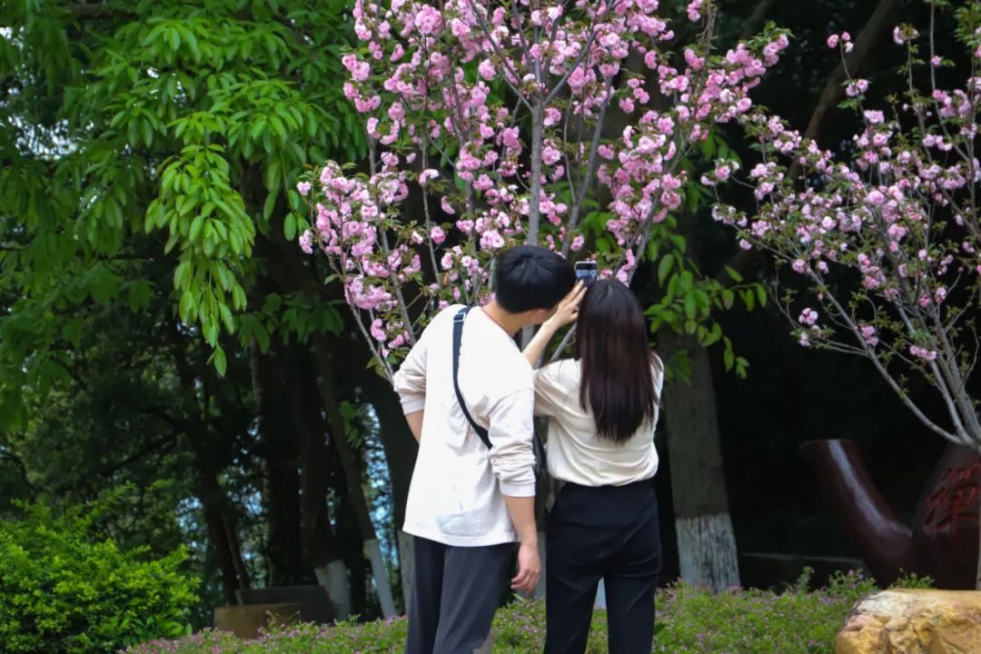 春天越野越刺激!游园赏花之余,到观音山体验速度与激情吧