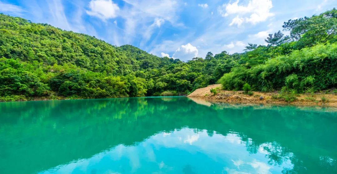 不见星星,只见春天丨观音山如画风景永远在,暖阳四月待君来