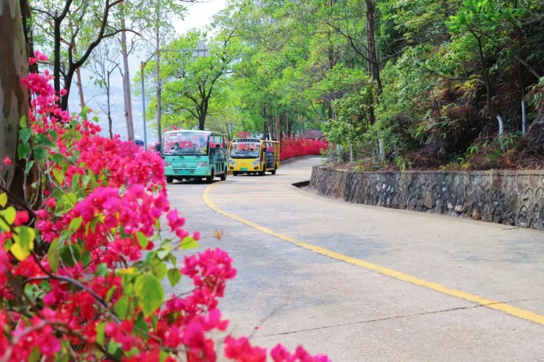 四月邂逅观音山！踏青赏花好去处，完美出游不解释