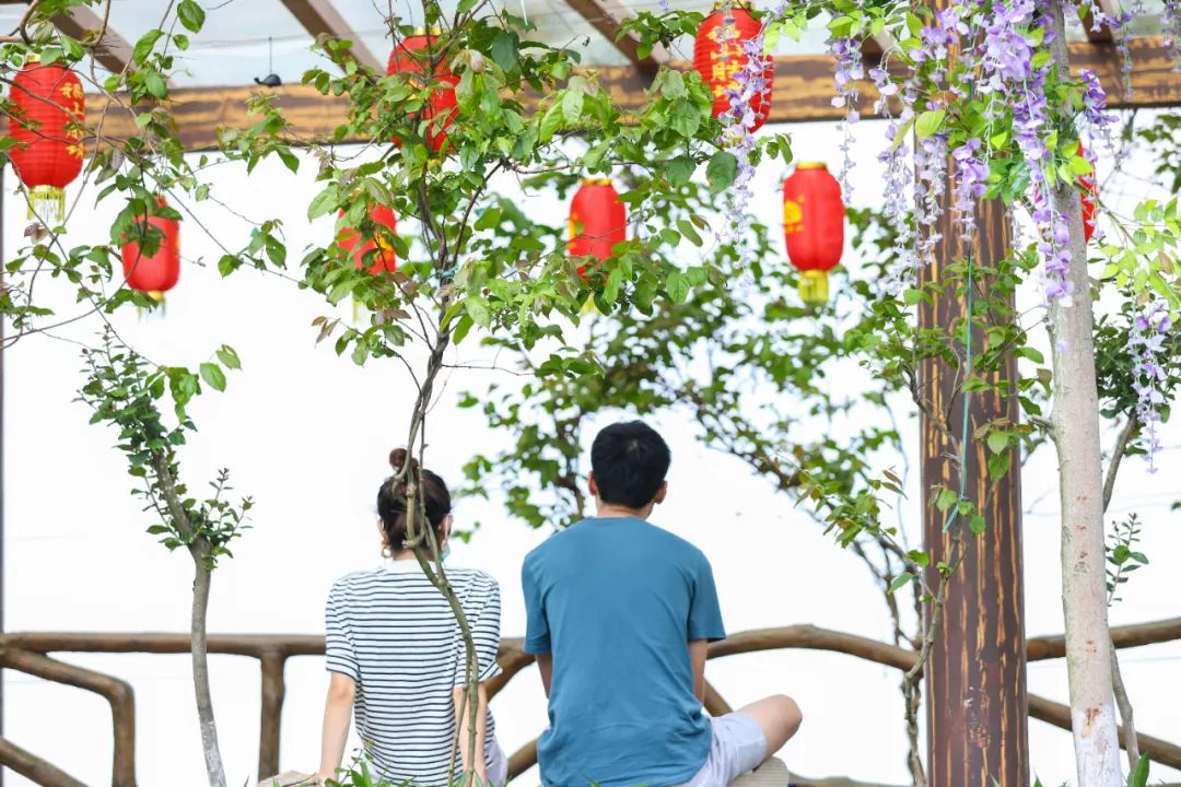 四月邂逅观音山！踏青赏花好去处，完美出游不解释