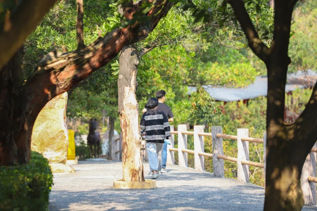 致医护工作者，免费畅游观音山，许愿接福抚人心，雨后美景惹人醉