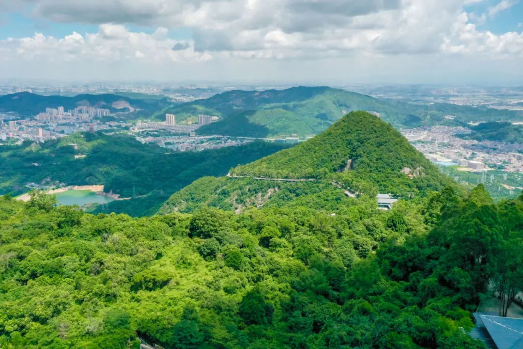 热搜“全国各地来上分”刷屏,观音山也来啦