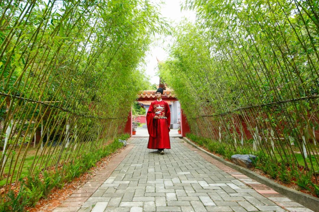高考作文太难?“观音山上观山水”可更难,连新科状元都对不上