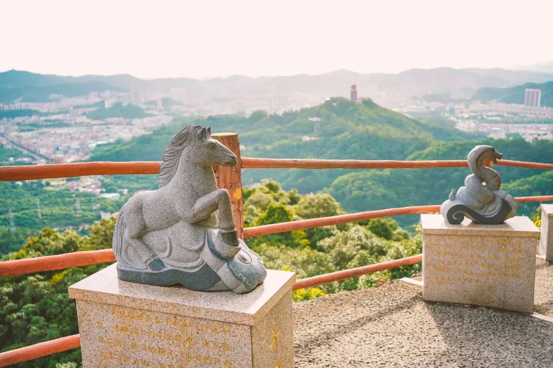 好消息!@全国高考·中考生,拿好准考证,观音山景区免门票啦