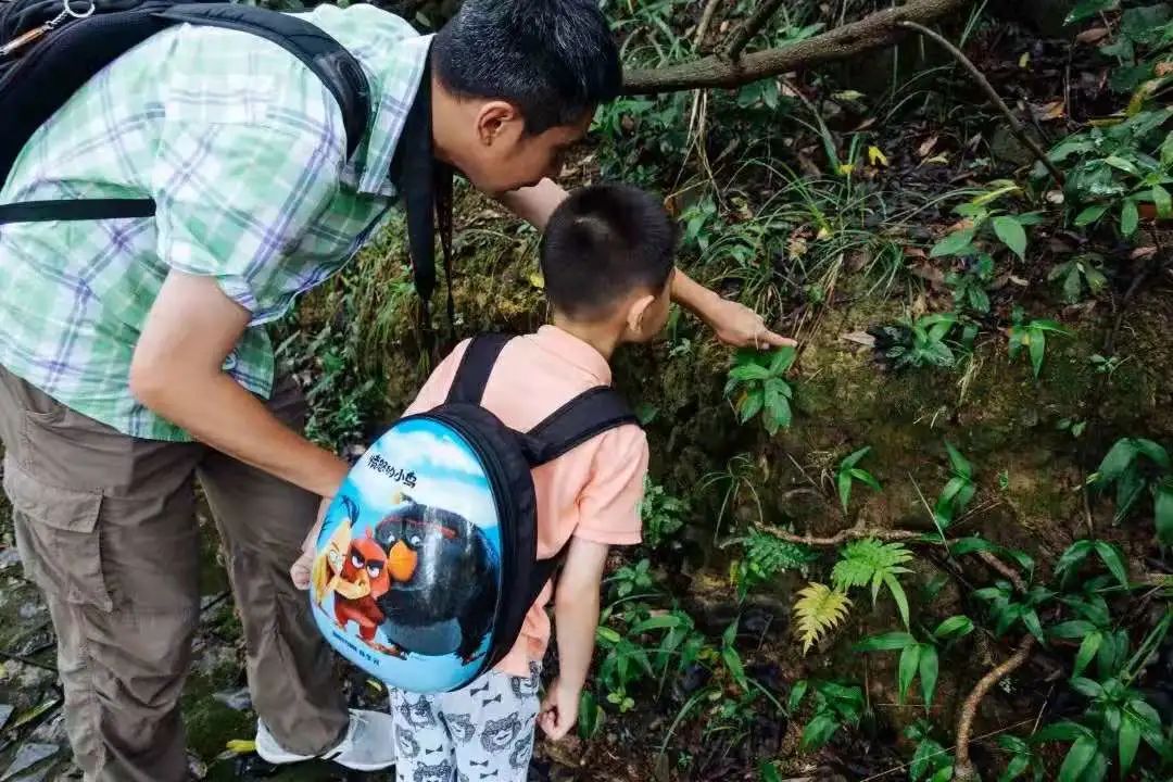 父亲节丨“爸”气出游观音山，用一场旅行感恩伟大父爱