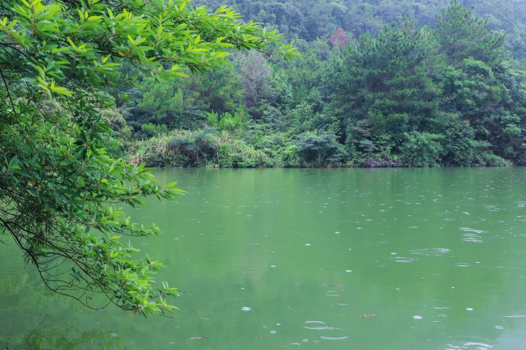 父亲节丨“爸”气出游观音山，用一场旅行感恩伟大父爱