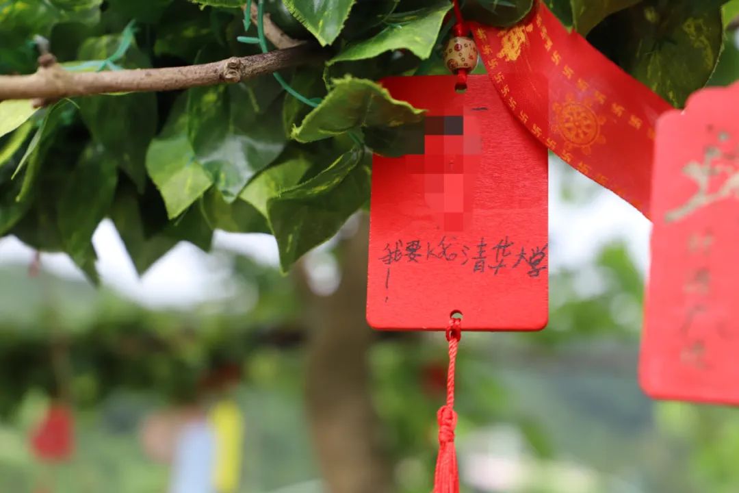 观音山状元文化节献礼父亲节!给不挑剔的父亲一份“挑剔”的礼物