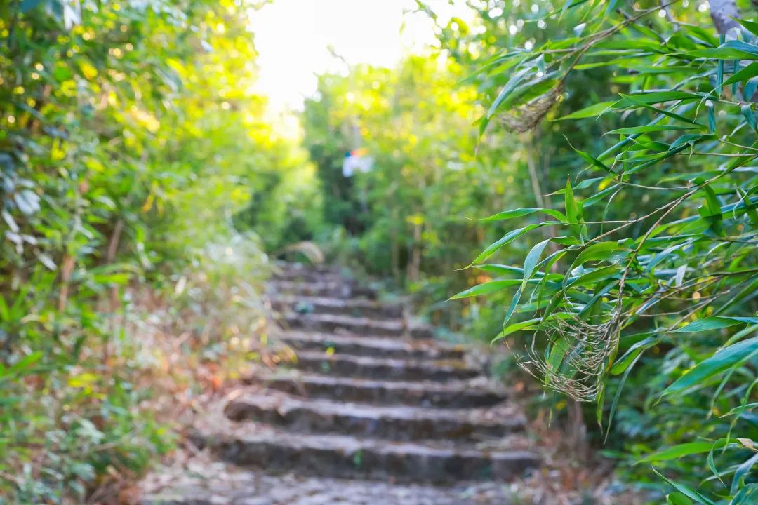 一秒降温！避暑躲进观音山，你就是这个夏天最“凉”的仔