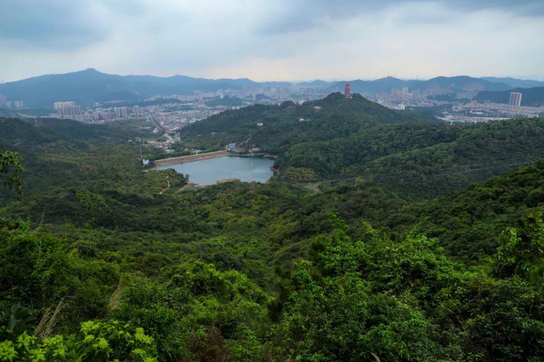 一秒降温！避暑躲进观音山，你就是这个夏天最“凉”的仔