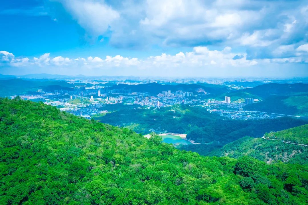 一秒降温！避暑躲进观音山，你就是这个夏天最“凉”的仔