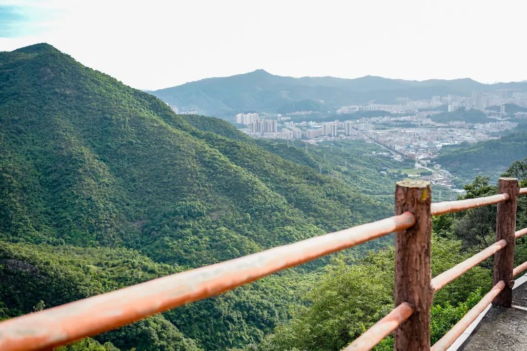 露天观影、森林集市，体验露营新玩法，观音山森林露营节来啦