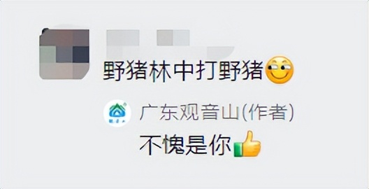 妙趣横生的对联故事108万“观音山上观山水”这届网友的反应亮了