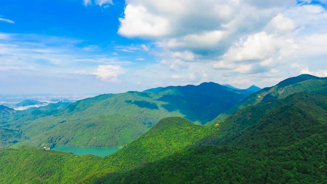 雨天宅家很无聊？一起云赏观音山如画美景吧