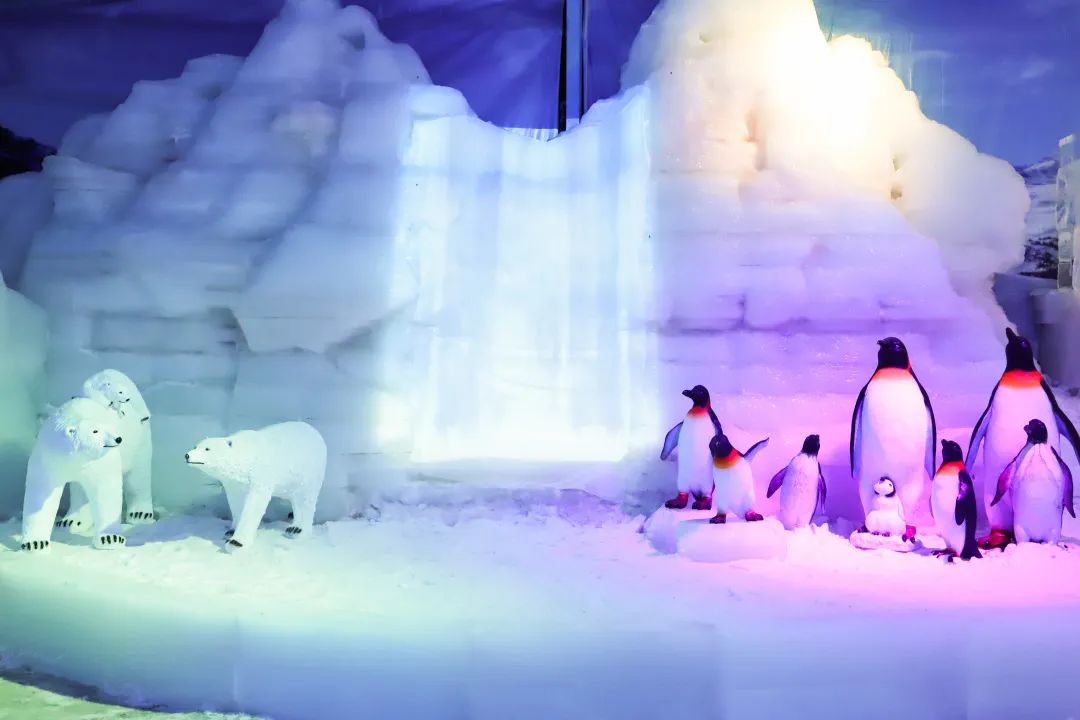 家门口的北国雪乡,观音山冰雪乐园,“冻”真格,飘真雪