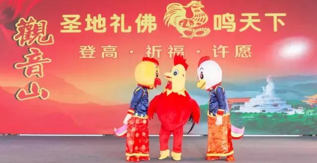 鸡年贺岁，萌鸡为您贺新春