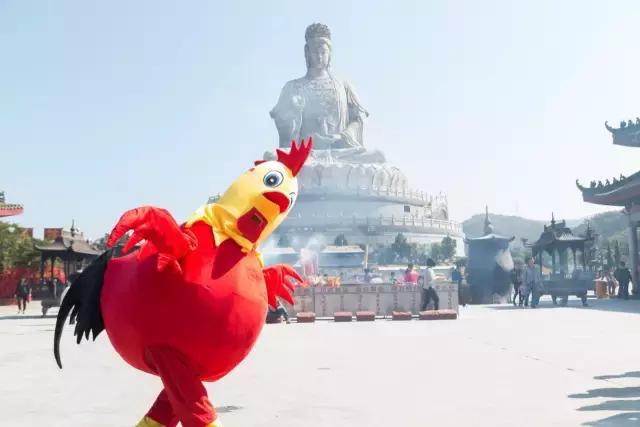 鸡年拒绝过假年，新年的正确打开方式