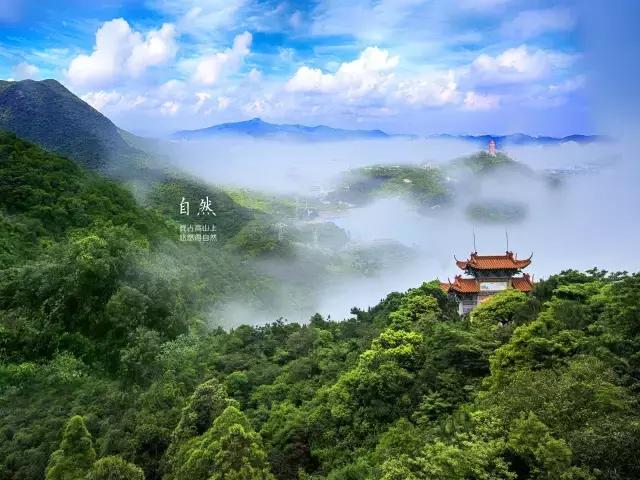 鸡年拒绝过假年，新年的正确打开方式