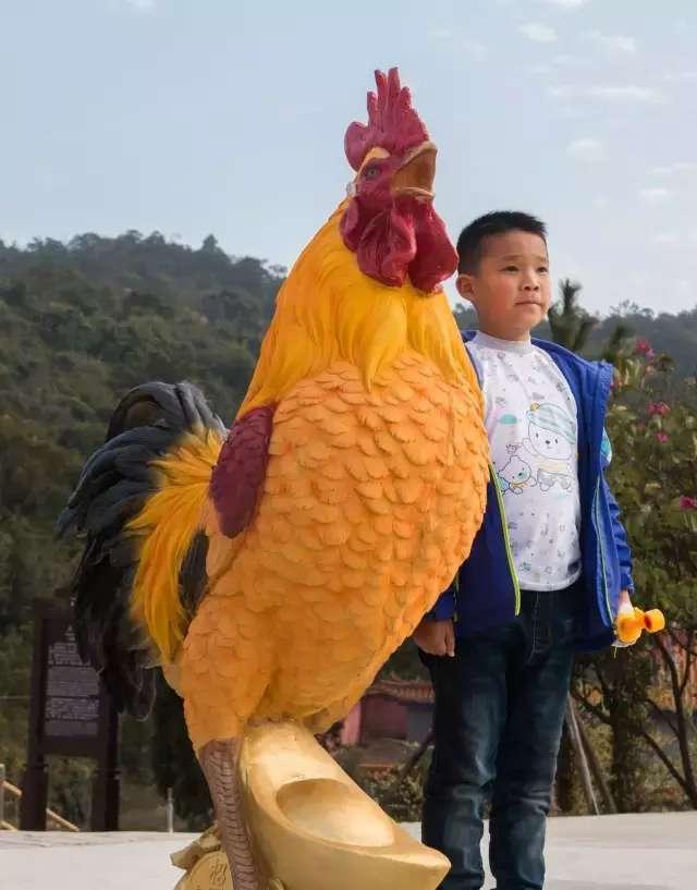 过年了，为您准备了一份惊喜，请收下