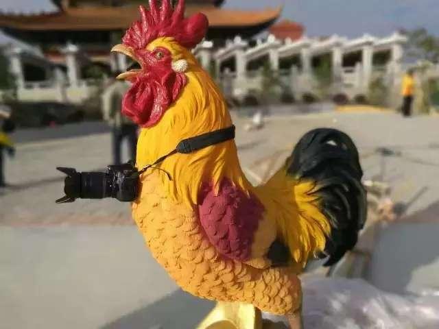 过年了，为您准备了一份惊喜，请收下
