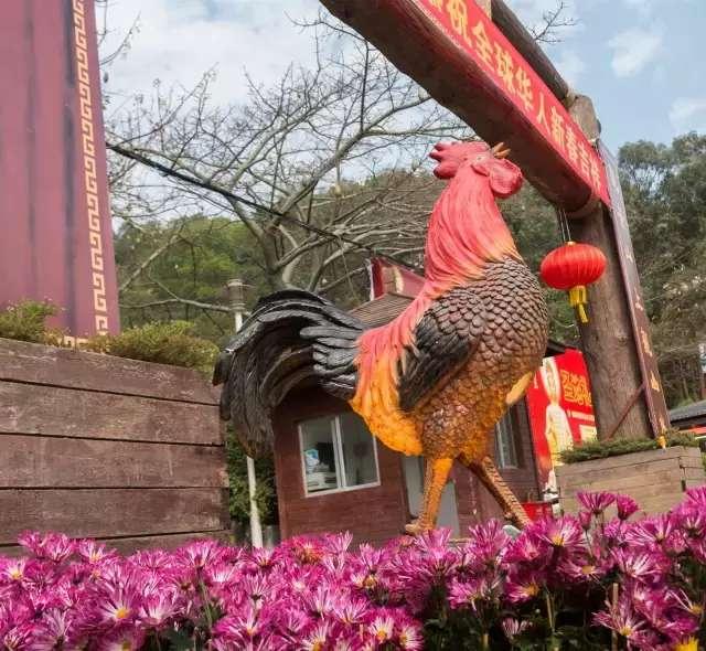 过年了，为您准备了一份惊喜，请收下