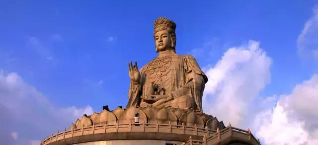 东莞因为她这下在全中国出名了！