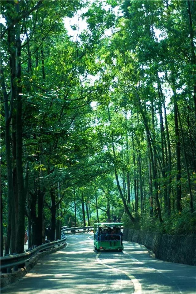 东莞因为她这下在全中国出名了！