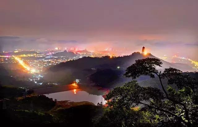 东莞因为她这下在全中国出名了！