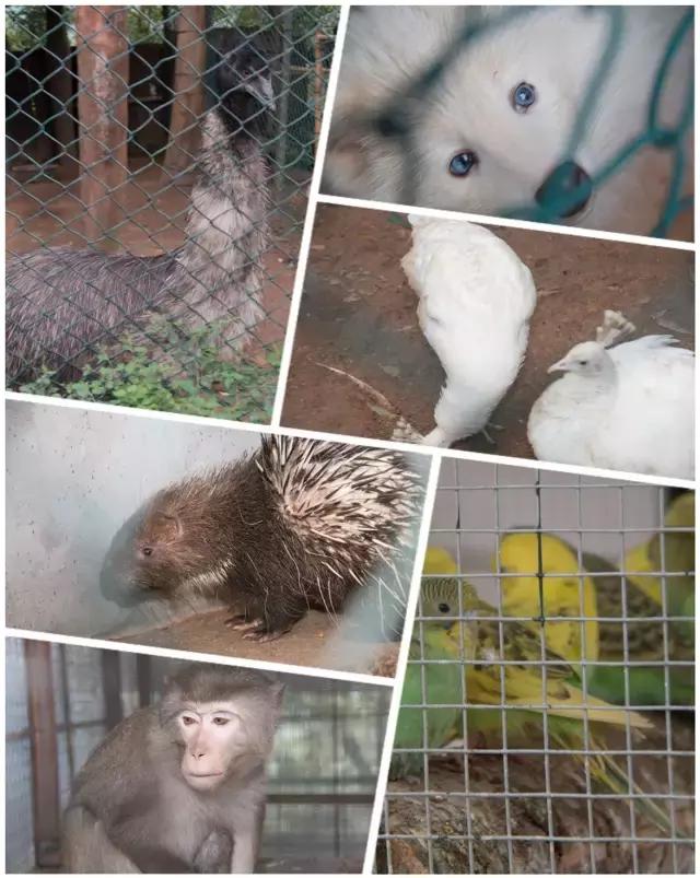 东莞因为她这下在全中国出名了！