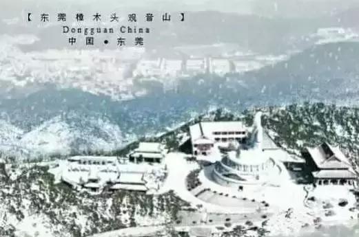 东莞因为她这下在全中国出名了！