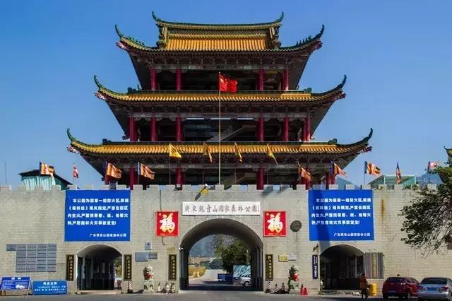 东莞因为她这下在全中国出名了！