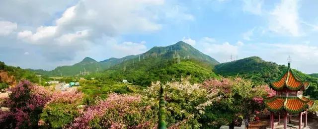 东莞因为她这下在全中国出名了！