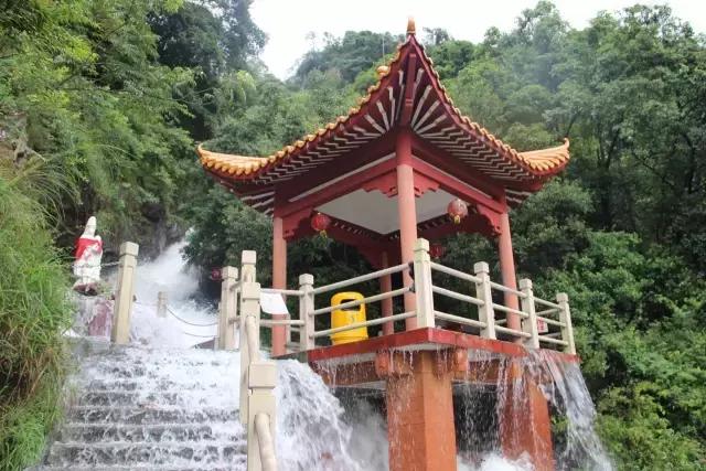 东莞因为她这下在全中国出名了！