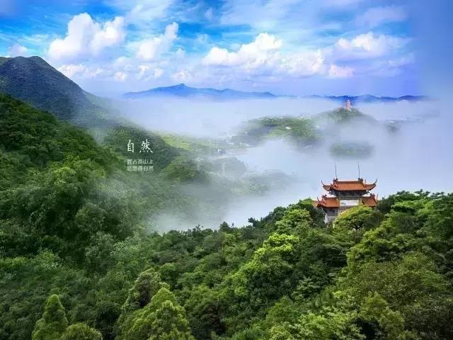 还在寻三生三世桃花缘？在观音山就能度假成仙！