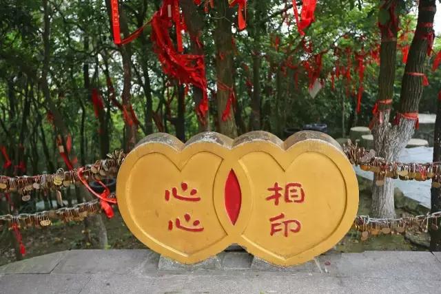 观音山19届万人相亲会席卷整个深港粤，震撼来袭！