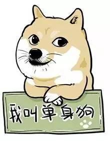 3.14白色情人节，没有情人怎么办？